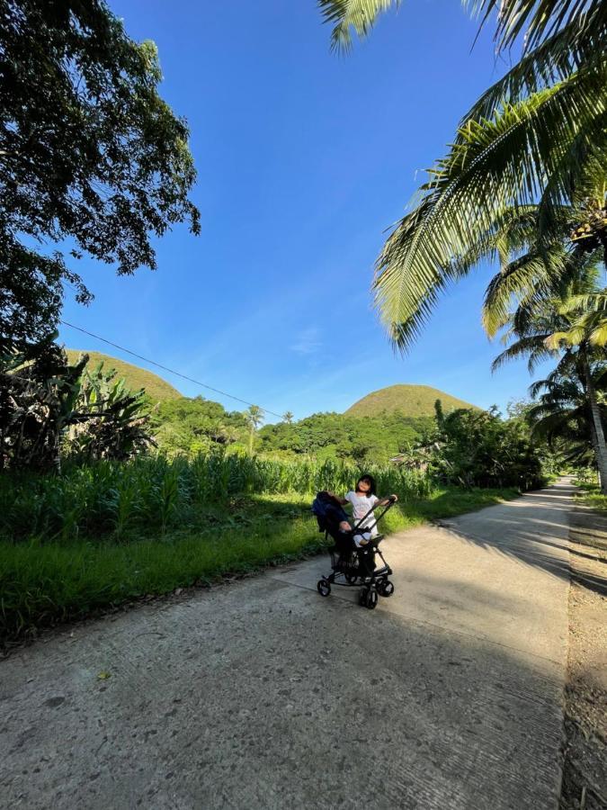 Bed and Breakfast Casa Aguelo Chocolate Hills Carmen  Exteriér fotografie