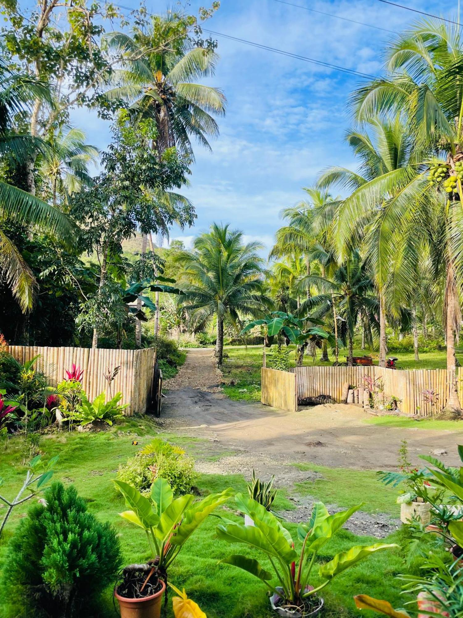 Bed and Breakfast Casa Aguelo Chocolate Hills Carmen  Exteriér fotografie