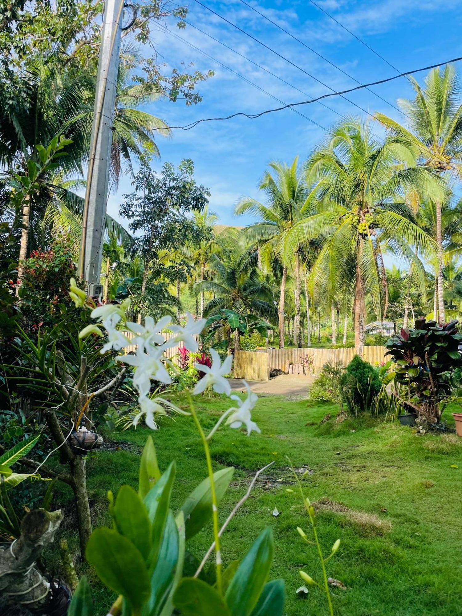 Bed and Breakfast Casa Aguelo Chocolate Hills Carmen  Exteriér fotografie