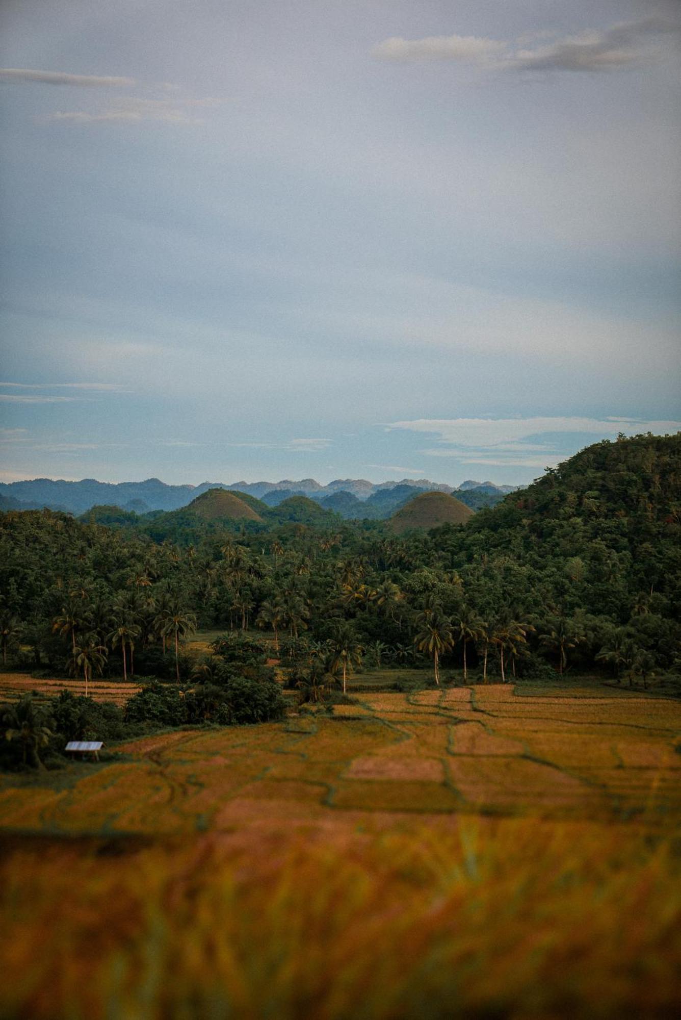 Bed and Breakfast Casa Aguelo Chocolate Hills Carmen  Exteriér fotografie